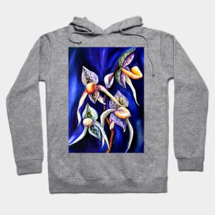 Watercolor Lady Slipper Botanical Illustration Hoodie